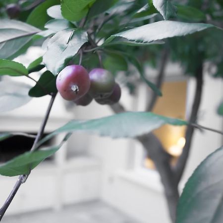 Casa Noble Βίλα Μεντόζα Εξωτερικό φωτογραφία