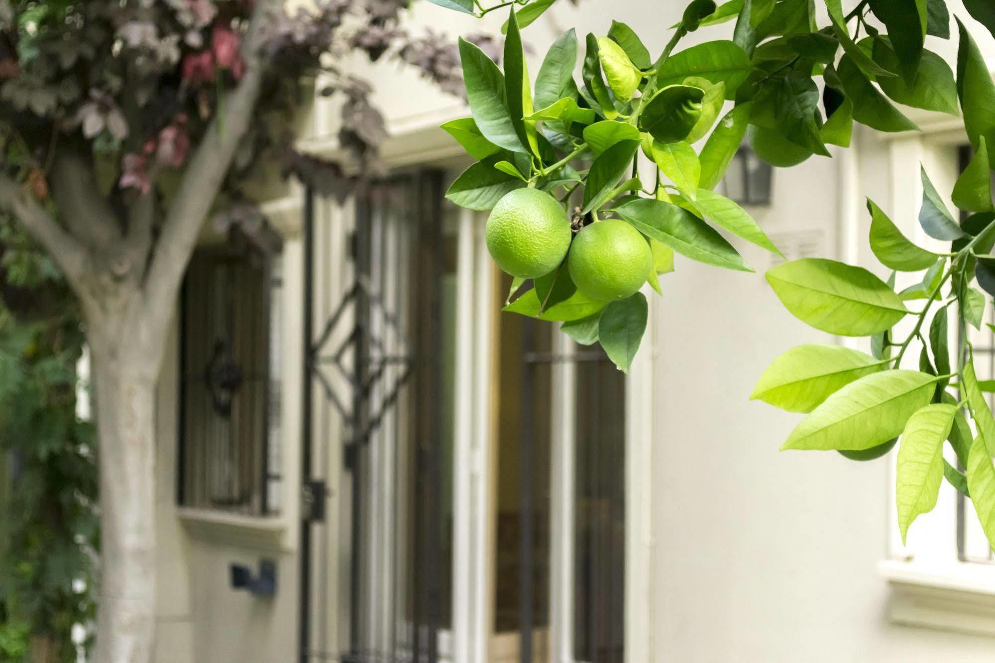 Casa Noble Βίλα Μεντόζα Εξωτερικό φωτογραφία